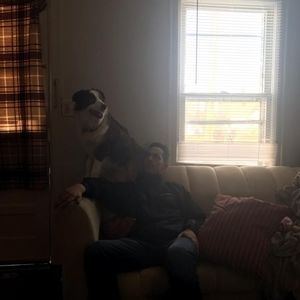 Meet your Posher, Javan